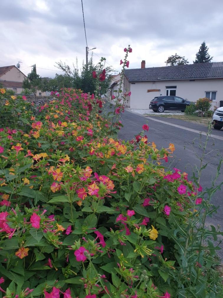Chez Samb Villa Lussac-les-Chateaux Exterior photo